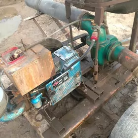 Kitayski nasoz 150 mator 1115