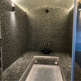 BANYAHMMAMПАРОГЕНЕРАТОР 