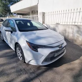 Toyota Corolla 2022