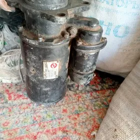 Greydir Pagrusik starter