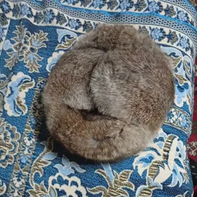 Шапка шерстеная