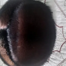 норка папак