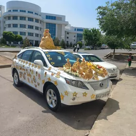 Tayyn chaga chykdy bezeg