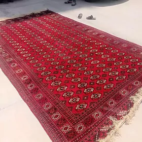 Aluwcy 2nji el haly alyan