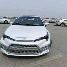 Toyota Corolla 2021