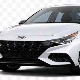 Elantra Nikel Bezegler