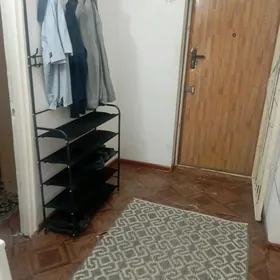 квартира с хозяином