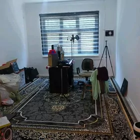 Бизмеин гресс 2 ком