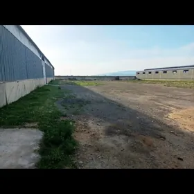 Бугдайлы 1 гектар онумчилик