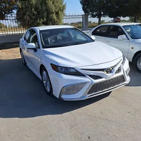 Toyota Camry 2021