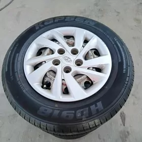 Hundaý disge pakryşga 15