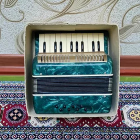 Akkordeon akardiyon garmon
