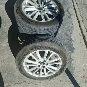 karola diska pakryska 16 lyk