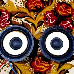 2 sany bocko kalonkaa