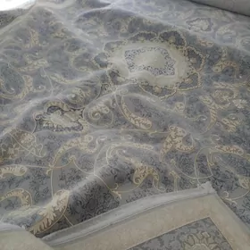 Eyran Haly 1200 citim