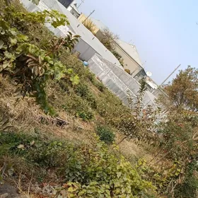 mellek yer kanal gyra