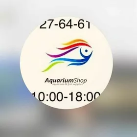 Аквариум-Рыбы