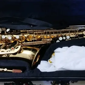 saxsofon саксофон альт
