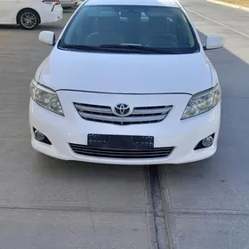 Toyota Corolla 2008