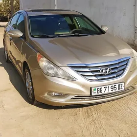 Hyundai Sonata 2010