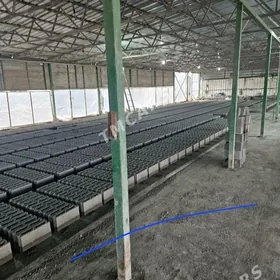 ŞEBEN MYTY SEMENT KERPIÇ MITI