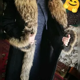 Orginal paltolar amatly