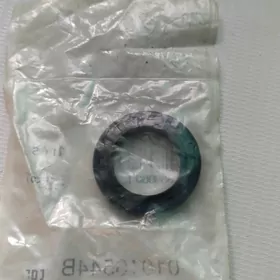 Mercedes Carteko salnik