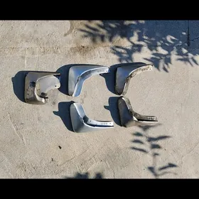 2003 2004 awalon brazgawik