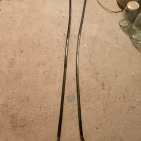 karola krisa zalibok