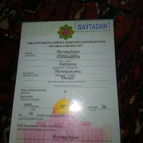 Nika șahatnama tapyldy