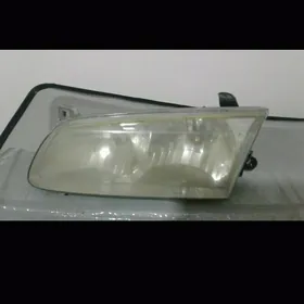 Stopniki  (babyçka)