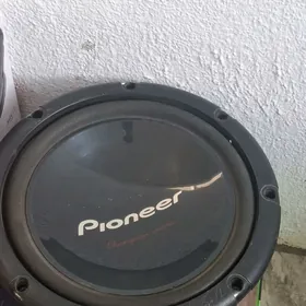 Pioneer bocko