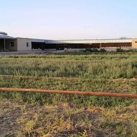 yatak+yasayys jay+ mellek