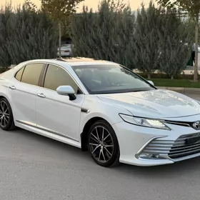 Toyota Camry 2019