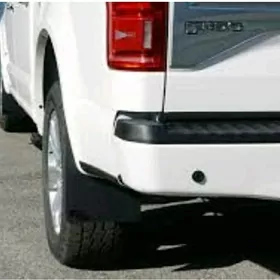 FORD F-150 15-20ý. bryzgowik