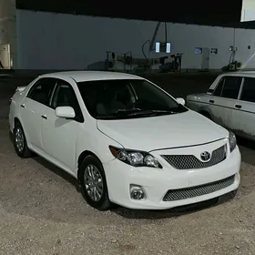 Toyota Corolla 2011