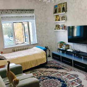 Satlyk Gagarin 1 kom Gaudanka