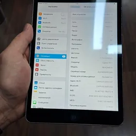 Ipad mini