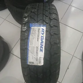 265/65/17Rudanz 2025Y