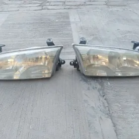 Babycga On we yz faralary