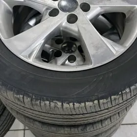 Karolla exskuliziw 16 lyk