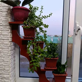 Полка для цветов