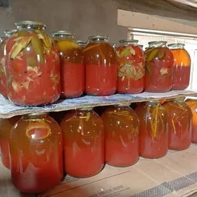 СОЛЕНЫЕ SALÝONYÝ