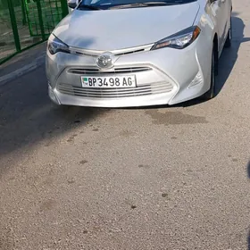 Toyota Corolla 2016