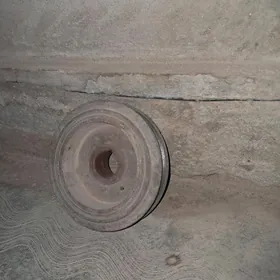 Lisicga babycga uly skip