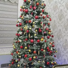 Tazeje yolka jajeksiz