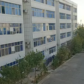 ARENDA JAY GEREK EYESINDEN