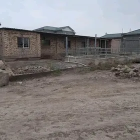 жай сатылар