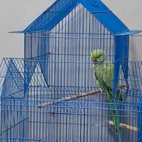 Срочно продам