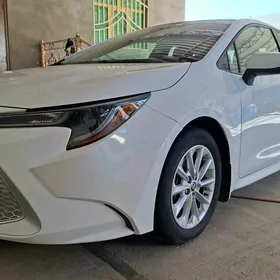 Toyota Corolla 2021